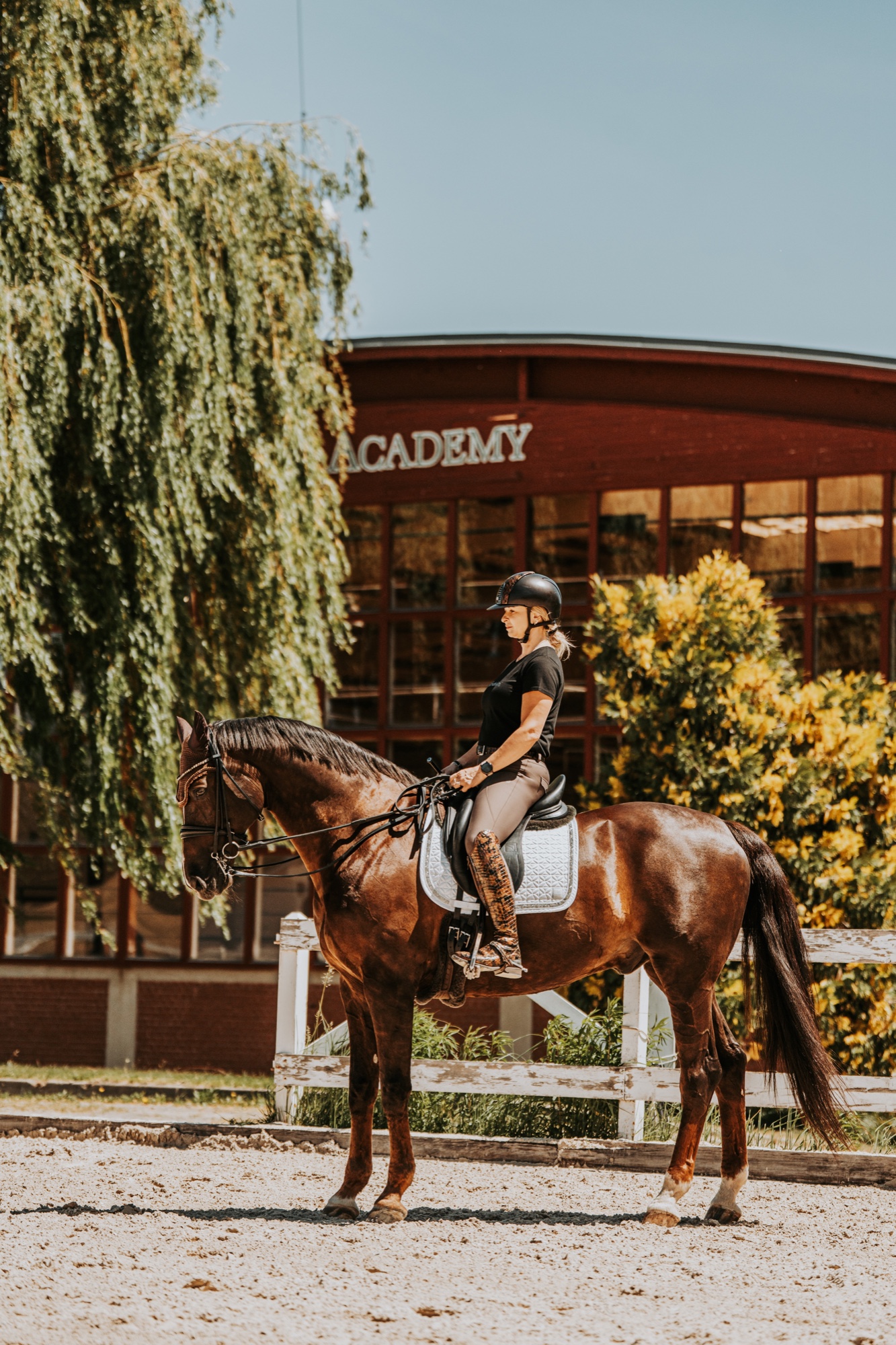 Jezdkyně na koni před halou Horse Academy