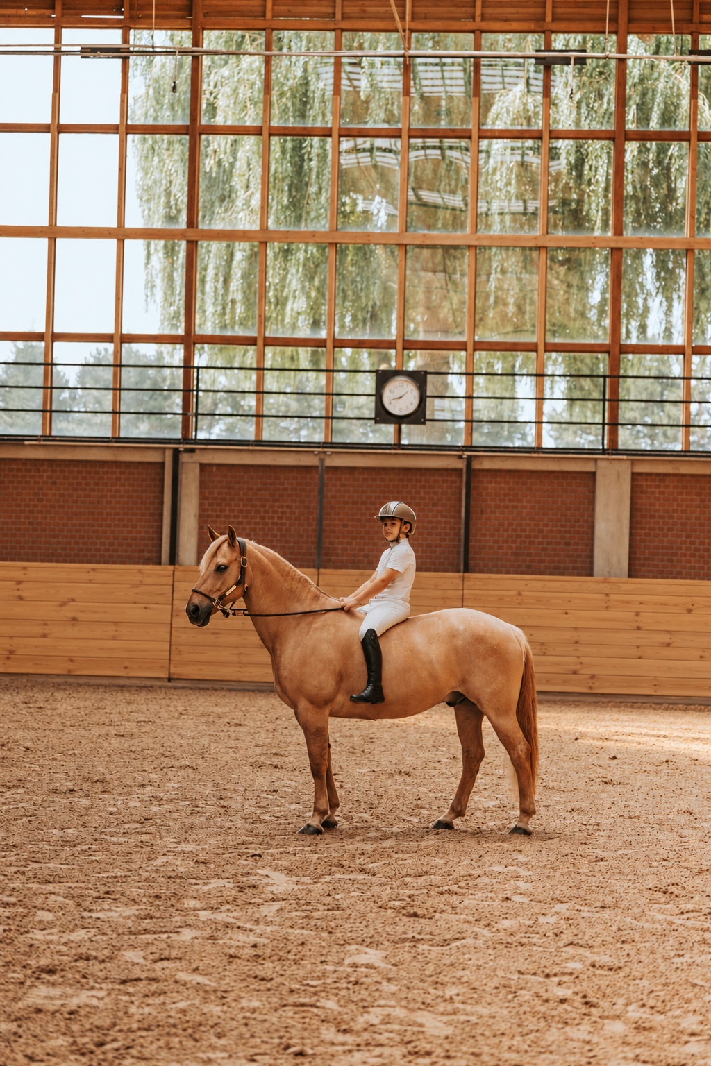 Mladý jezdec na světlém koni ve vnitřní hale Horse Academy
