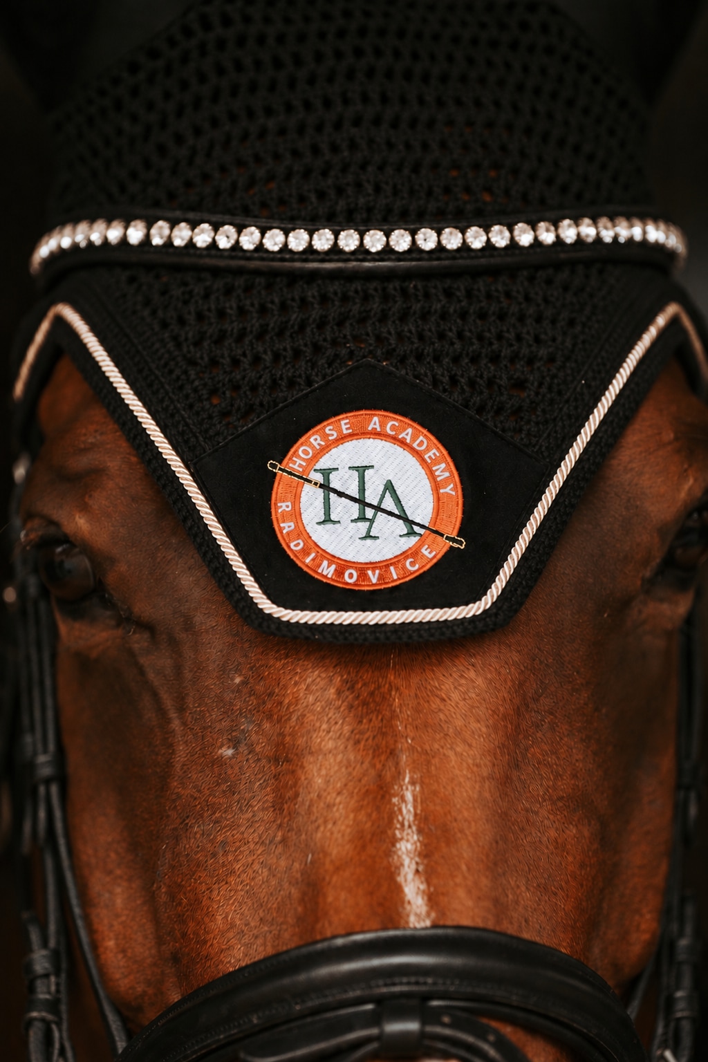Detail čabraky s vyšitým logem Horse Academy
