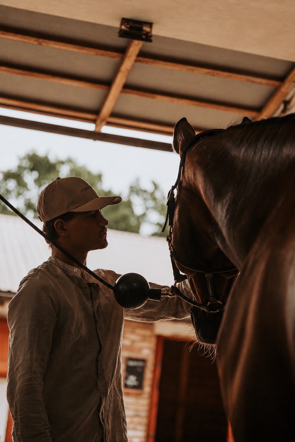 Péče o koně ve stáji Horse Academy