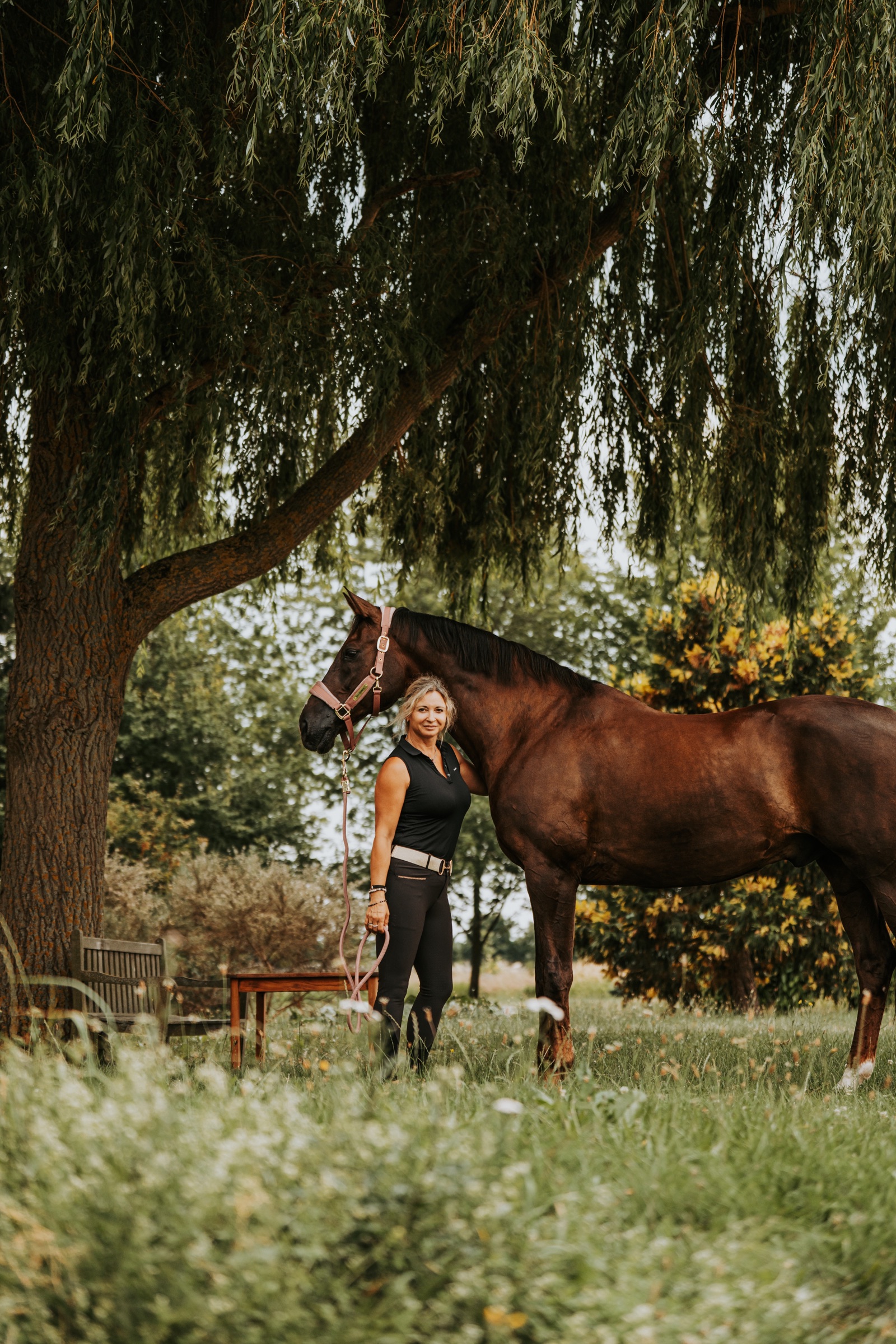 Žena s hnědým koněm pod vrbou v areálu Horse Academy
